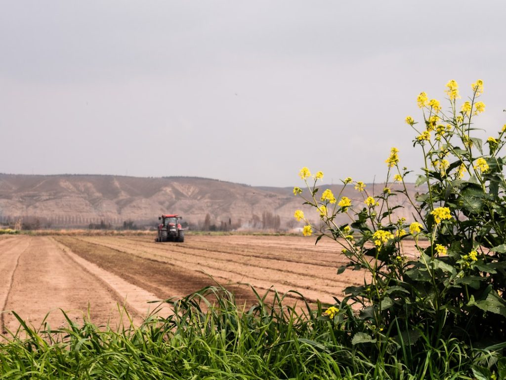 Tractor working the land